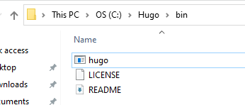 Extract Hugo files to bin Folder